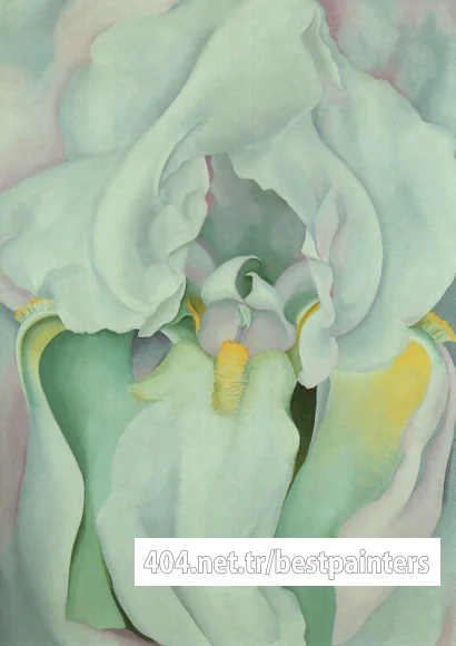 okeeffe6