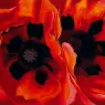 Georgia O'Keeffe