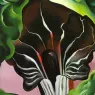 okeeffe02