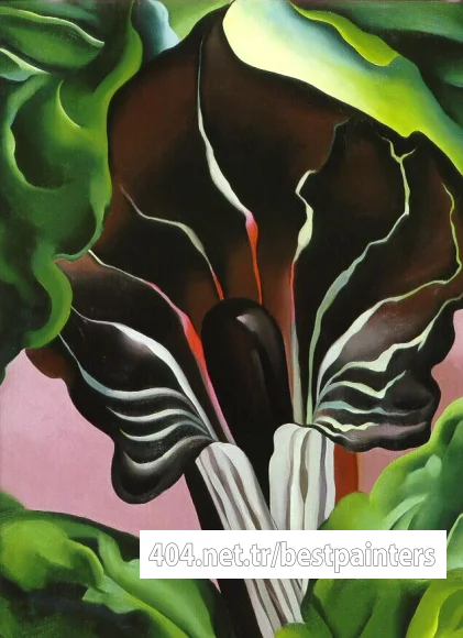 okeeffe02