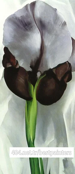 okeeffe04