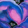 okeeffe05