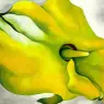 okeeffe07