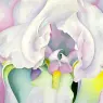 okeeffe10