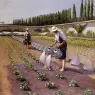 Gustave Caillebotte