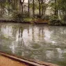 Caillebotte_Gustave_The_Yerres_Rain_aka_Riverbank_in_the_Rain