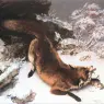 The_Fox_in_the_Snow_CGF