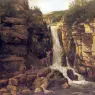 Courbet_Gustave_Landscape_with_Stag