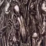 hr_giger_alienmonster_II