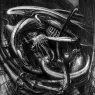hr_giger_alienmonster_IV