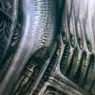 hr_giger_biomechanicallandscape_001