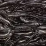 hr_giger_biomechanicallandscape_009