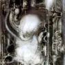 hr_giger_biomechanicallandscape_014