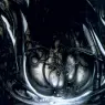 hr_giger_biomechanicallandscape_sack