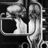 hr_giger_biomechanoid_005