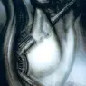 H.R.Giger