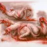 hr_giger_chestburster