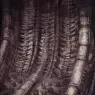 hr_giger_eggsilo_III