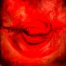 hr_giger_elp_VIII