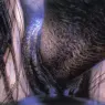hr_giger_erotomechanics_V