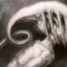 hr_giger_facehugger_I