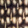 hr_giger_landscape_XX