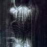 hr_giger_newyorkcity_VI_torso