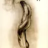 hr_giger_pII_the_vomit_p6