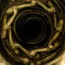 hr_giger_pII_the_vortex_p22