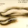 hr_giger_pII_the_worm_p3