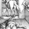 Hans Baldung Grien(1485-1545)