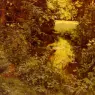 Tanzi_Leon_Louis_Antoine_Clairiere_Dans_Une_Foret