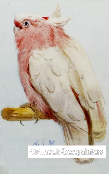 Marks_Henry_Stacy_A_Pair_Of_Leadbetter_Cockatoos