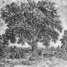 SEGHERS_Hercules_The_Great_Tree