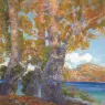 Hermen Anglada-Camarasa