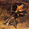 Hardy_Heywood_Returning_To_The_Foxs_Lair