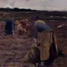 Delpy_Hippolyte_Camille_The_Potato_Gatherers