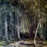 Shishkin_Ivan_Forest_c.1860