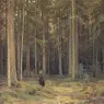 Shishkin_Ivan_The_Forest_of_Countess_Mordvinova_1891