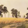 Shishkin_Ivan_The_Rye_Field_1878