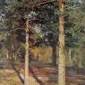 Shishkin_Ivan_The_Sun_lit_Pines_1886