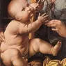 Leonardo_da_Vinci_The_Madonna_of_the_Carnation_detail2
