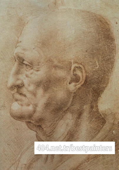 Study_of_an_old_mans_profile_EUR