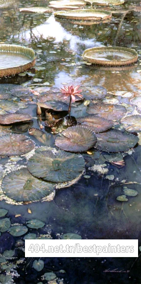 Hanks_Steve_Waterlilies_In_Bloom