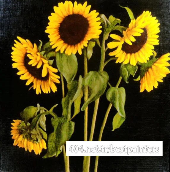 Hardy_David_Sunflowers