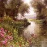 Fleur_au_bord_de_la_riviere