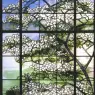 Louis Comfort Tiffany