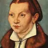 Lucas Cranach the Elder(1472-1553)