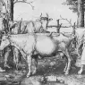 LUCAS_van_Leyden_Milk_Maid