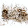 luis_royo_prohibited018